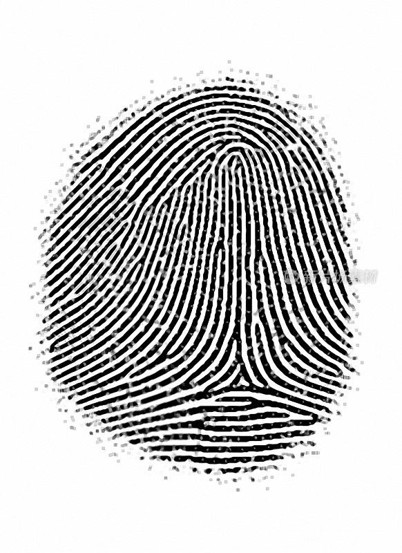 Fingerprint texture 10